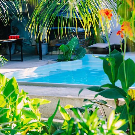מואלבואל Ananas Guesthouse מראה חיצוני תמונה