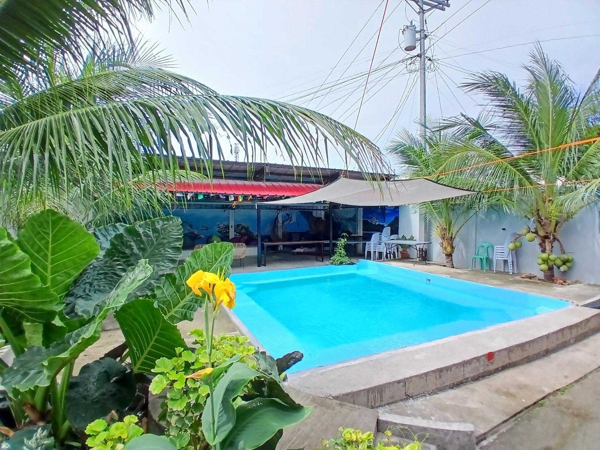 מואלבואל Ananas Guesthouse מראה חיצוני תמונה