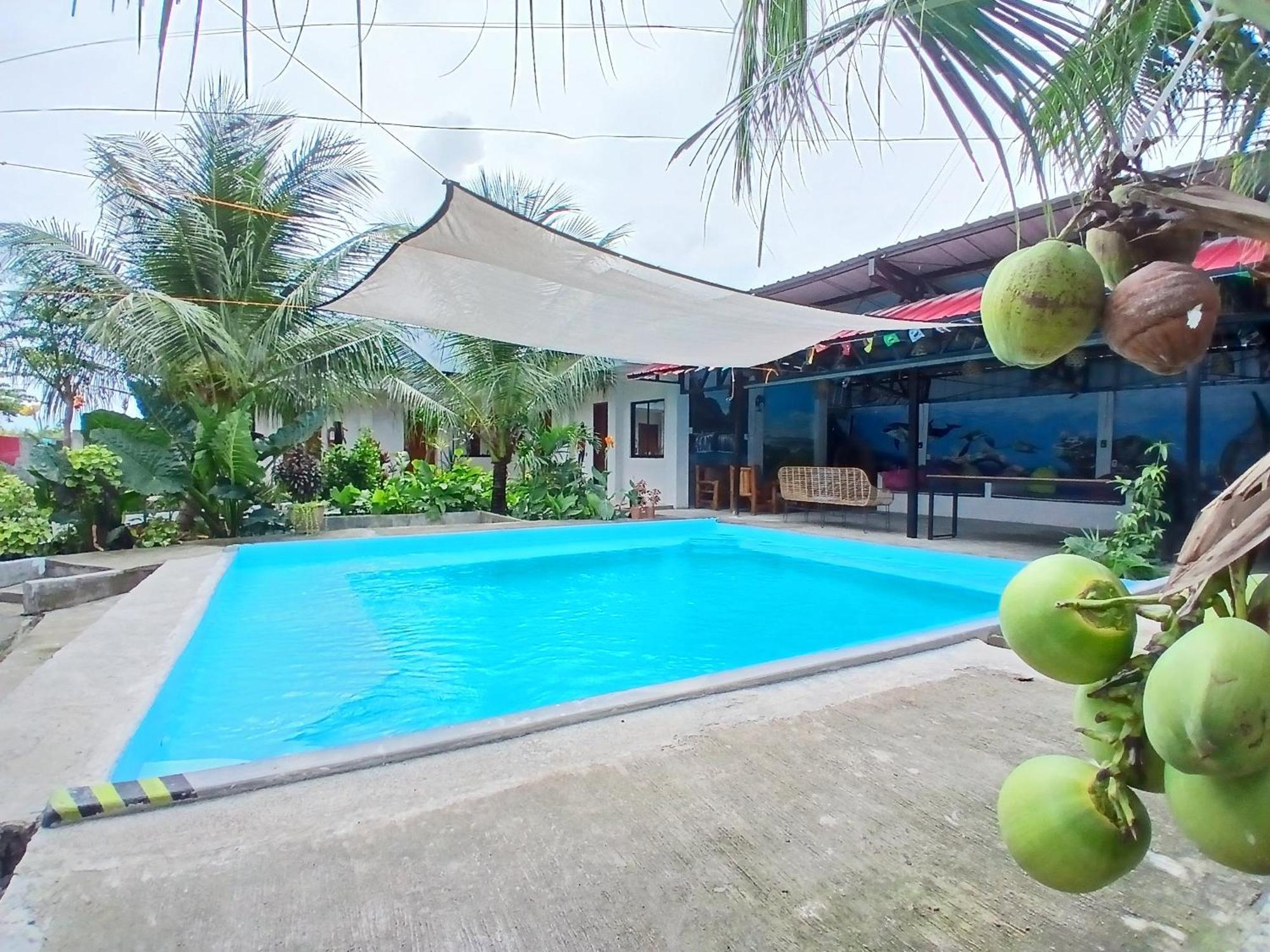 מואלבואל Ananas Guesthouse מראה חיצוני תמונה