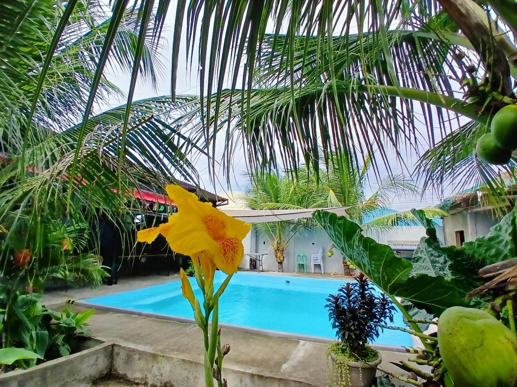 מואלבואל Ananas Guesthouse מראה חיצוני תמונה