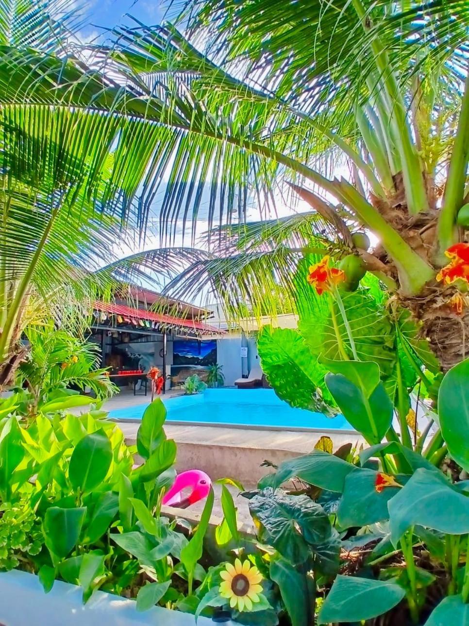 מואלבואל Ananas Guesthouse מראה חיצוני תמונה