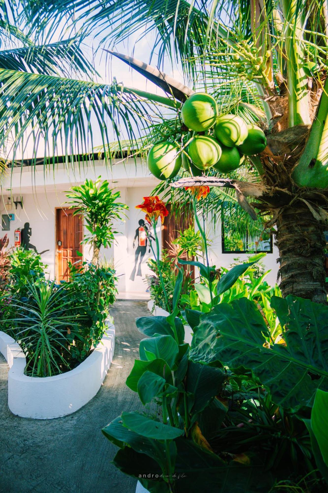 מואלבואל Ananas Guesthouse מראה חיצוני תמונה
